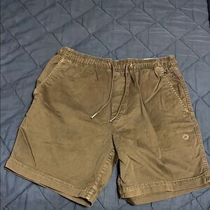 American Eagle Outfitters Tan Flat Front Shorts